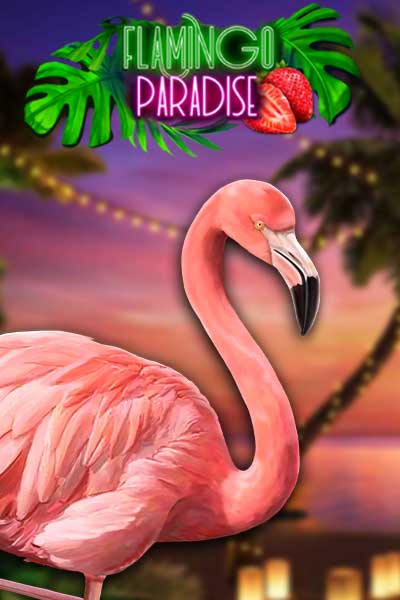 FLAMINGO PARADISE